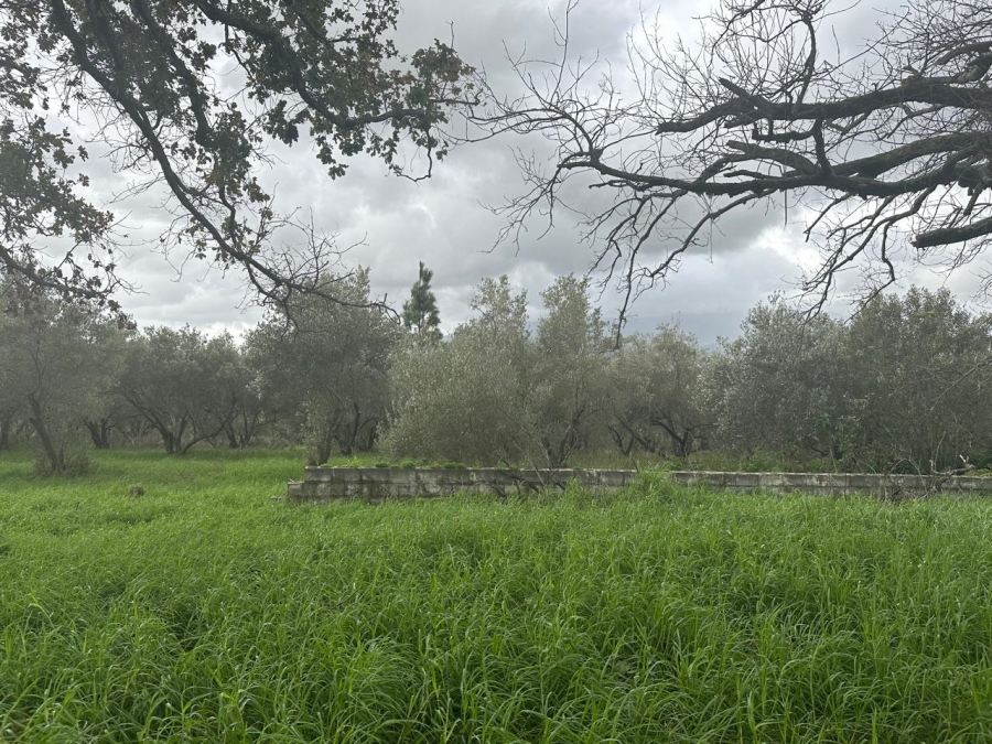 10 Bedroom Property for Sale in Stellenbosch Farms Western Cape